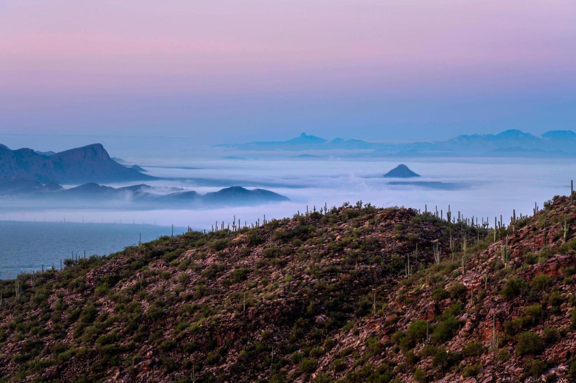 The Ritz-Carlton, Dove Mountain Hotel Marana Luaran gambar