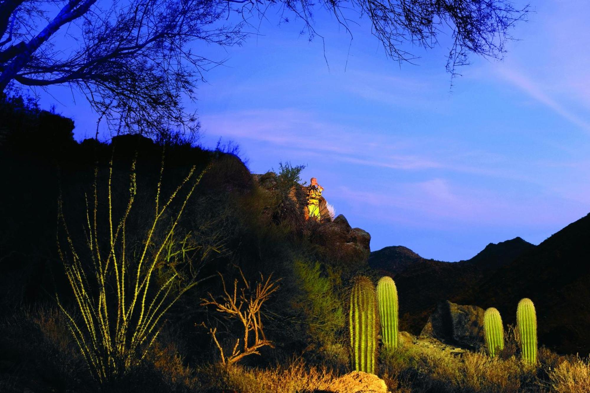 The Ritz-Carlton, Dove Mountain Hotel Marana Luaran gambar